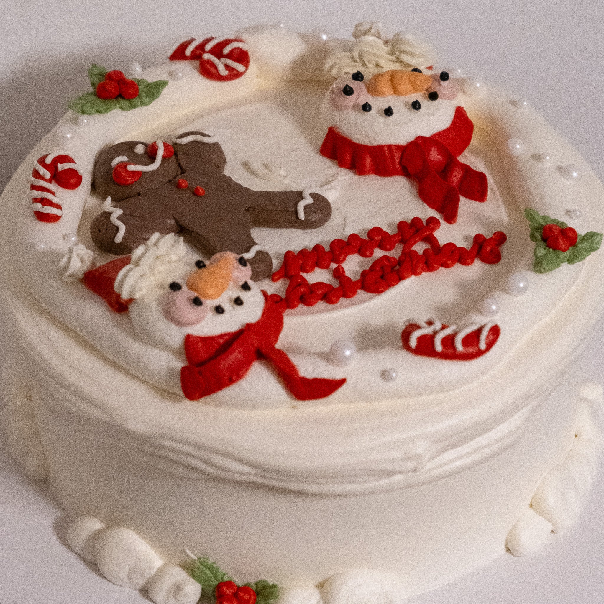 [🎄Christmas] holly jolly christas