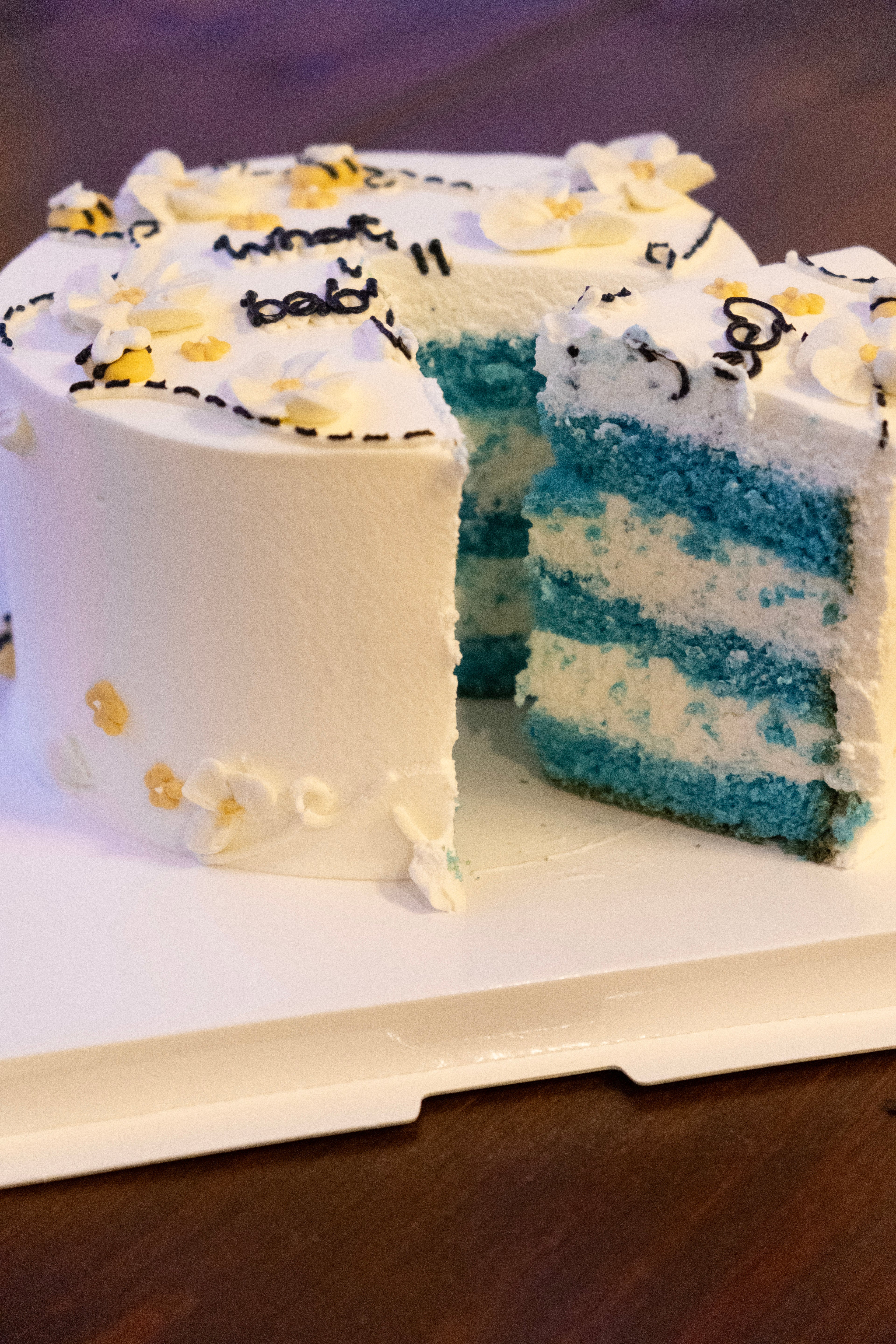 [gender reveal] what will baby bee?