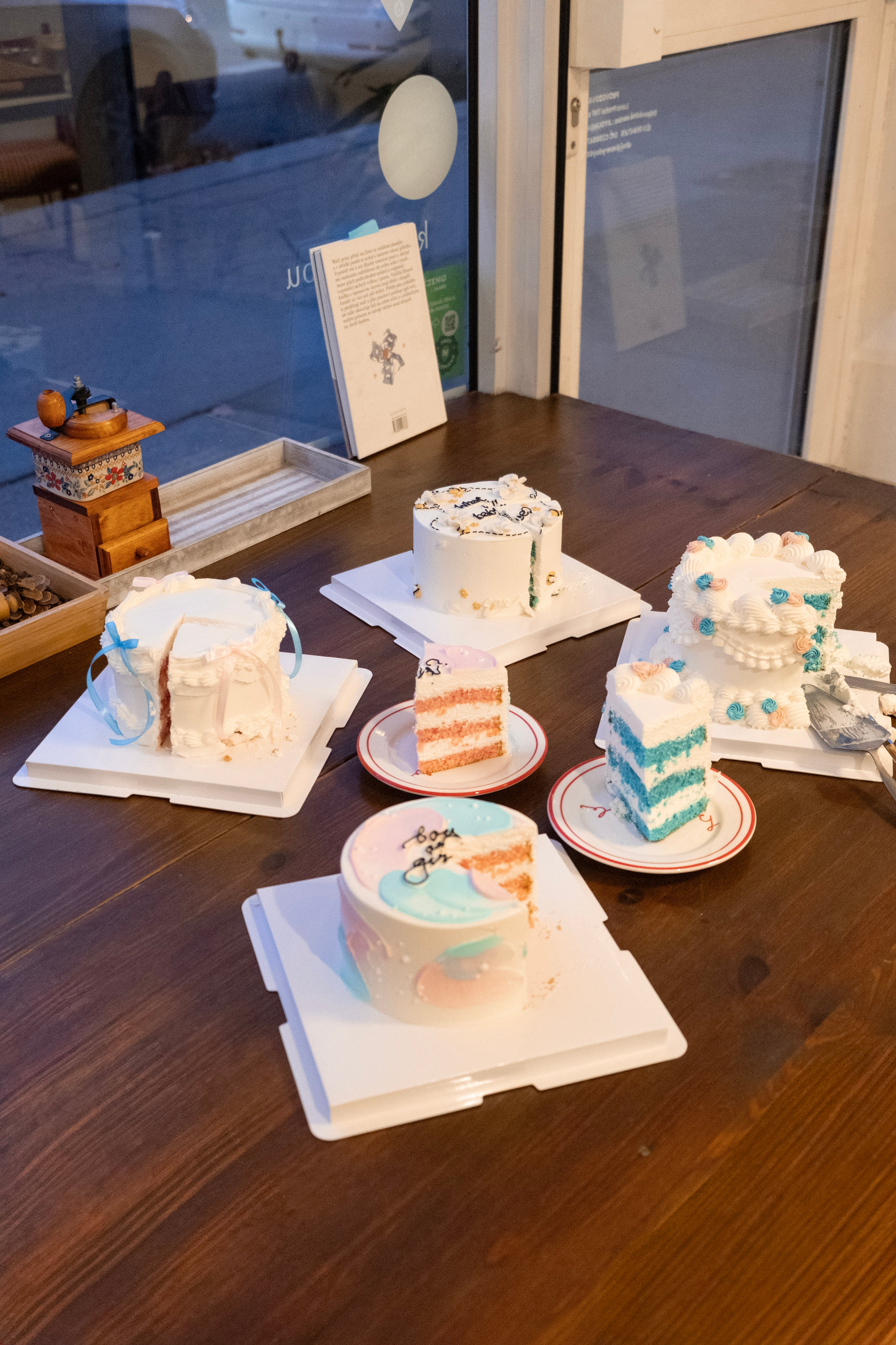 [gender reveal] what will baby bee?