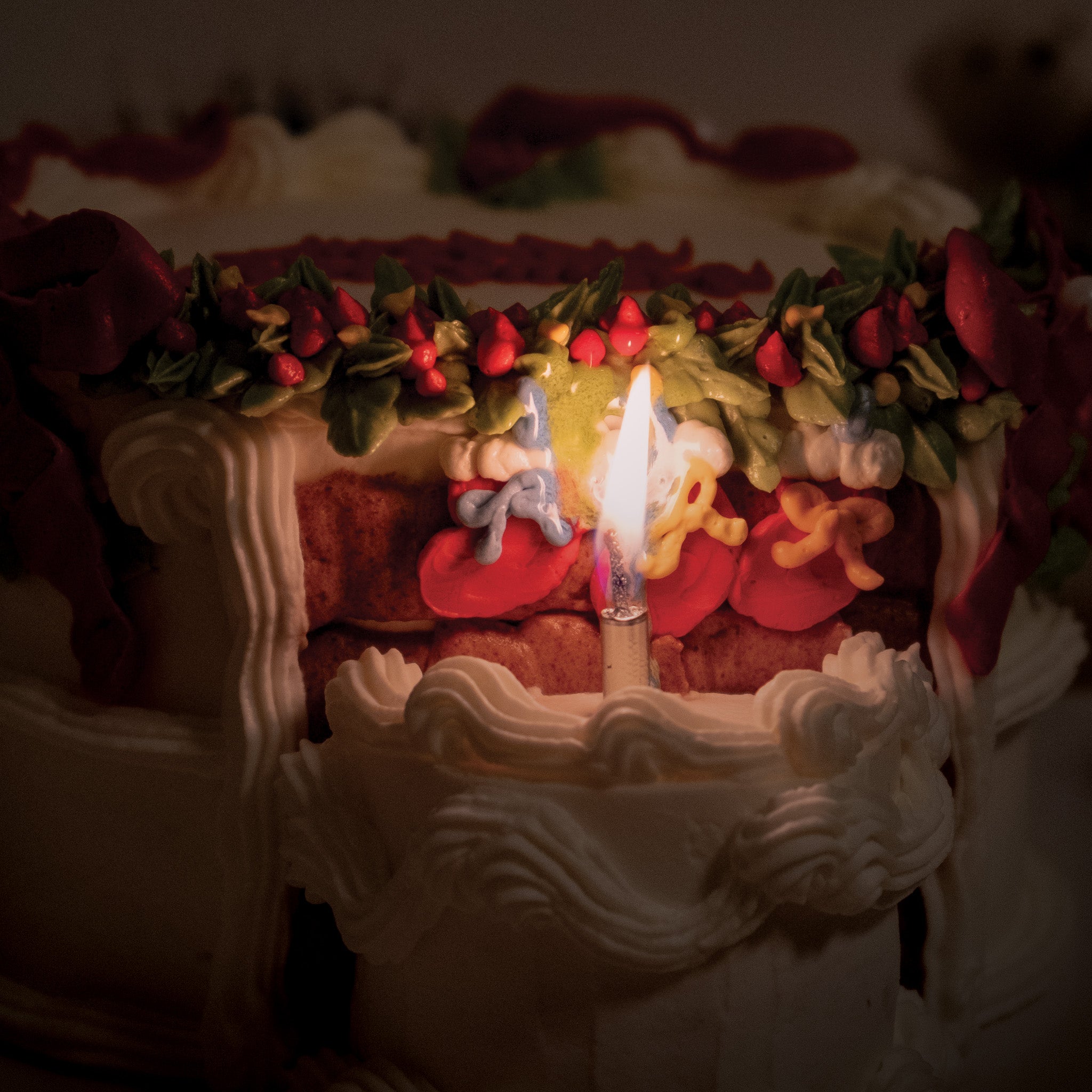 [🎄Christmas] holiday hearth